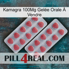 Kamagra 100Mg Gelée Orale À Vendre 19